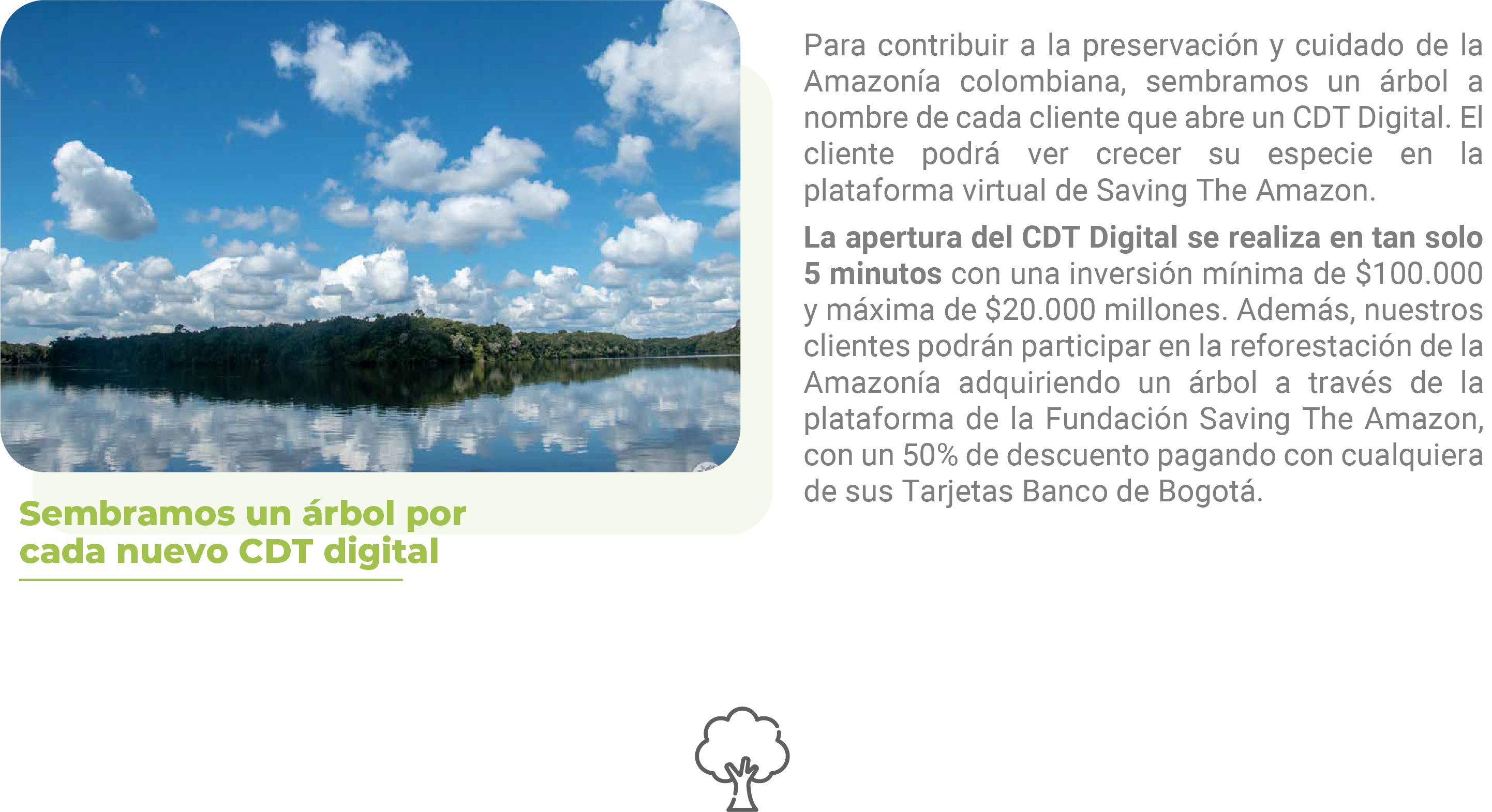 Para contribuir a la preservación y cuidado de la Amazonía colombiana, sembramos un árbol a nombre de cada cliente que abre un CDT Digital. El cliente podrá ver crecer su especie en la plataforma virtual de Saving The Amazon. La apertura del CDT Digital se realiza en tan solo 5 minutos con una inversión mínima de $100.000 y máxima de $20.000 millones. Además, nuestros clientes podrán participar en la reforestación de la Amazonía adquiriendo un árbol a través de la plataforma de la Fundación Saving The Amazon, con un 50% de descuento pagando con cualquiera de sus Tarjetas Banco de Bogotá.
